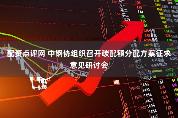 配资点评网 中钢协组织召开碳配额分配方案征求意见研讨会