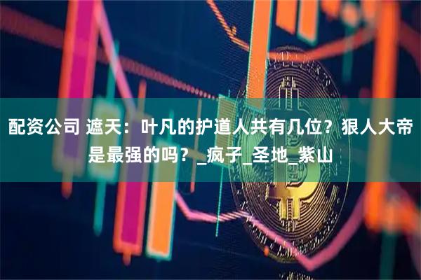 配资公司 遮天：叶凡的护道人共有几位？狠人大帝是最强的吗？_疯子_圣地_紫山