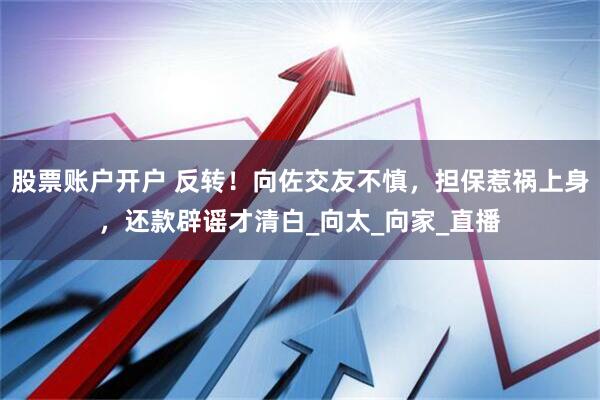 股票账户开户 反转！向佐交友不慎，担保惹祸上身，还款辟谣才清白_向太_向家_直播