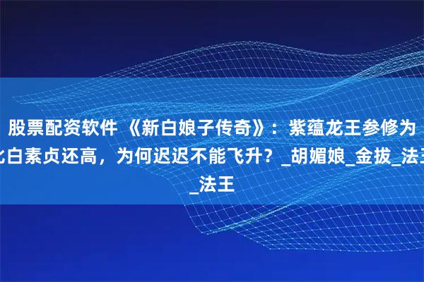股票配资软件 《新白娘子传奇》：紫蕴龙王参修为比白素贞还高，为何迟迟不能飞升？_胡媚娘_金拔_法王